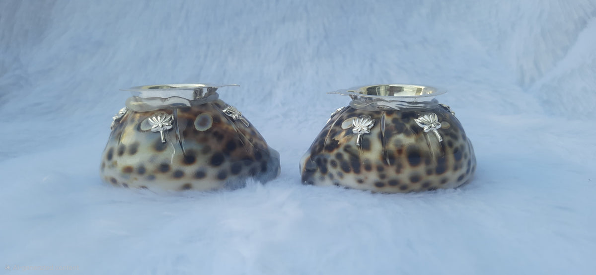 Sea shell deepam