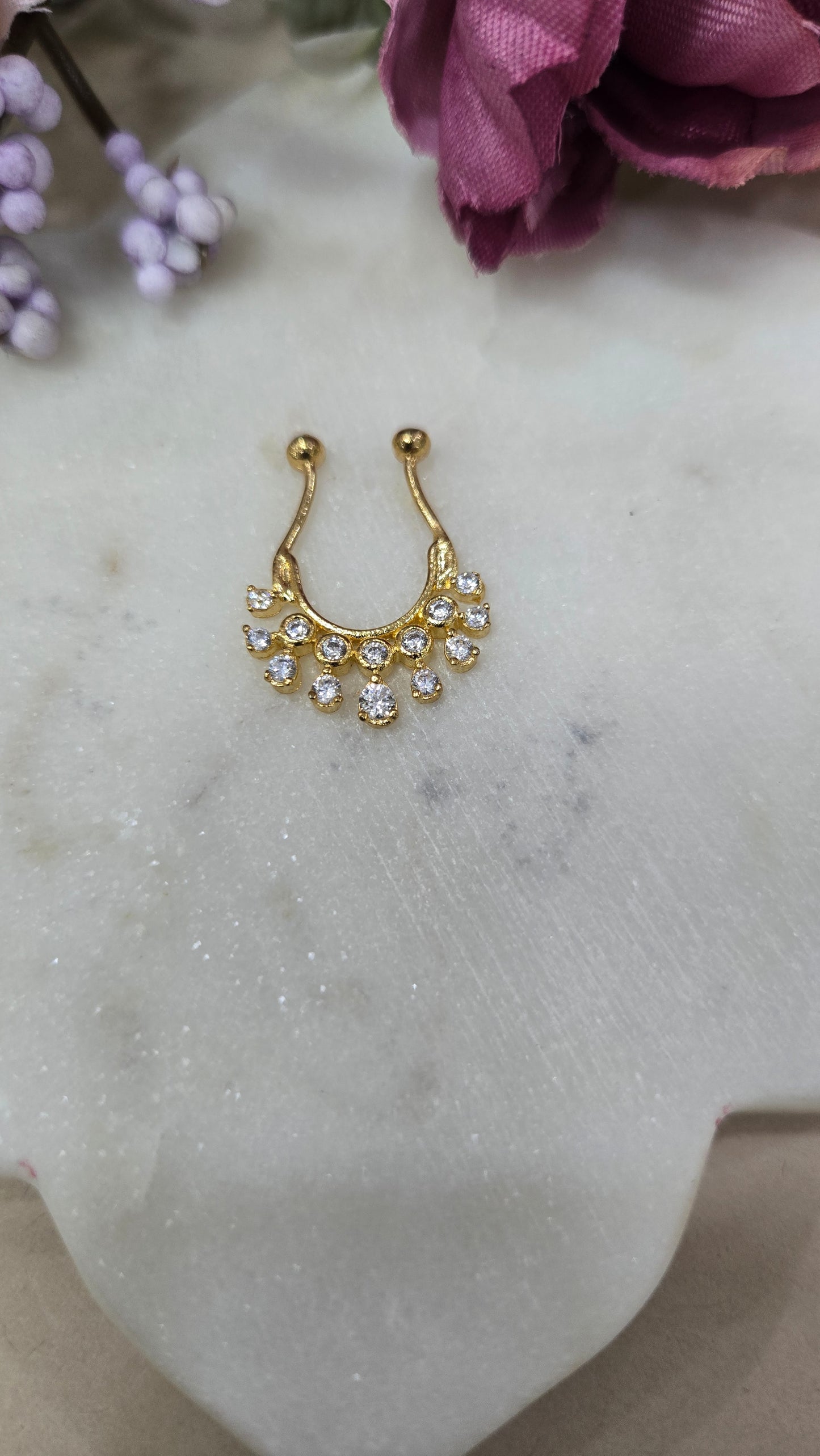Septum ring