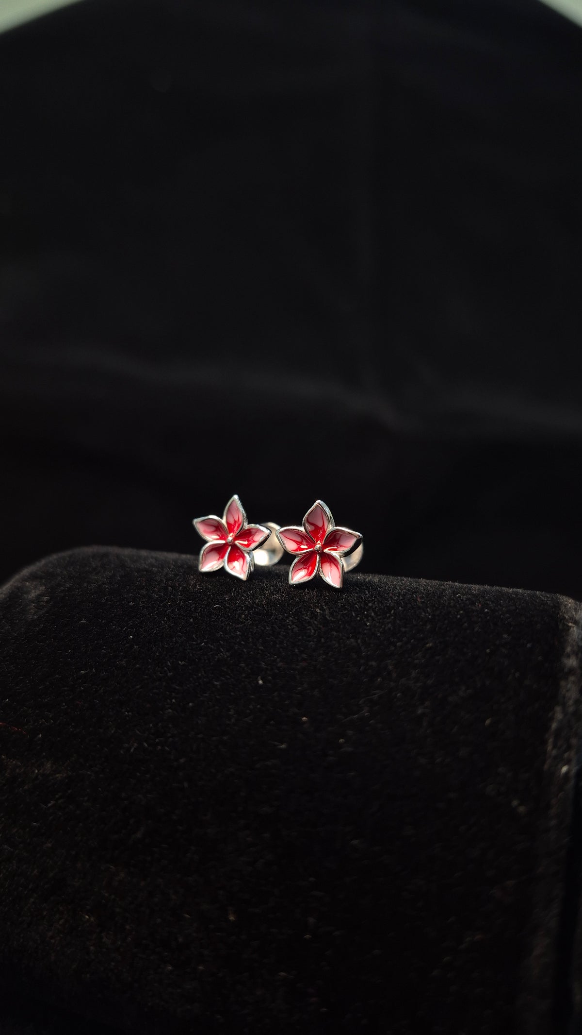 5 Petal Double colour Red flower