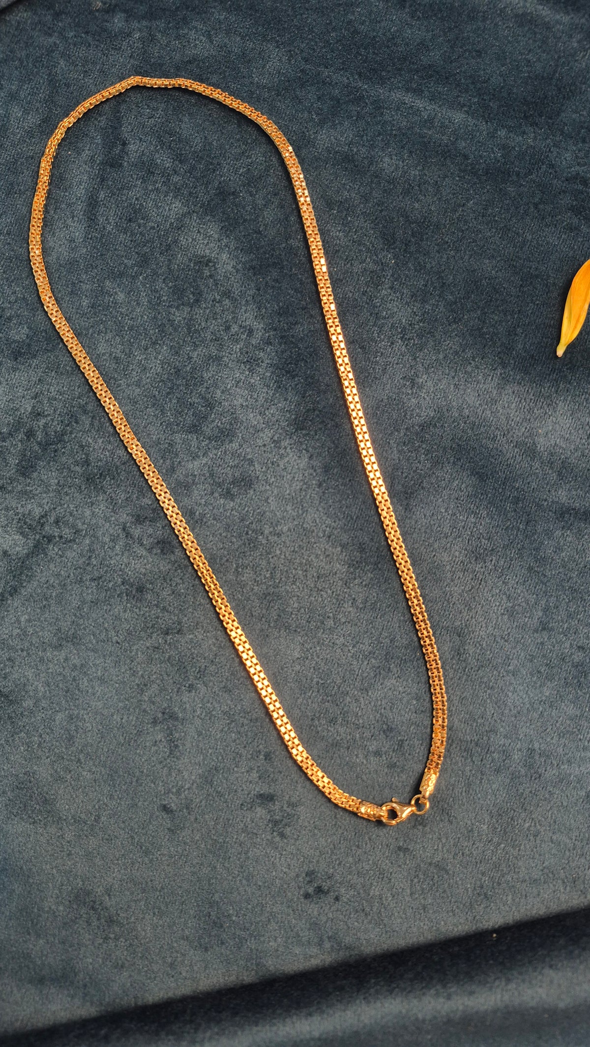 Double loop chain