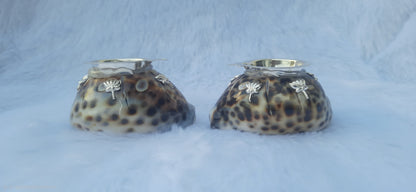 Sea shell deepam