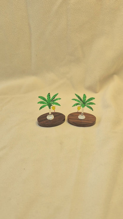 Mini Banana tree with rose wood