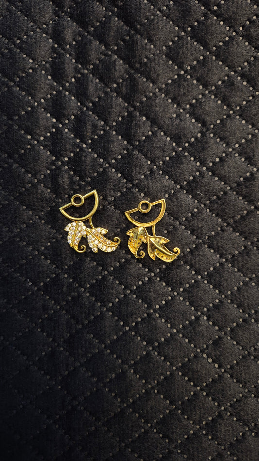 Earring accessories