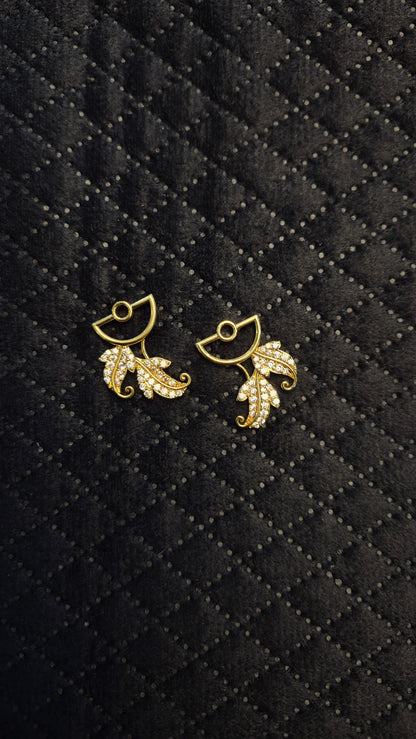Earring accessories