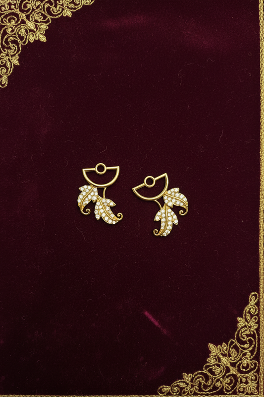 Earring accessories