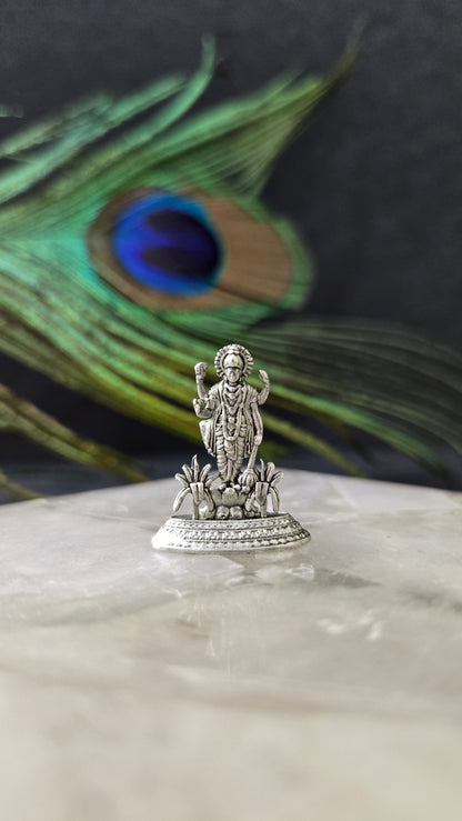 Satya Narayana swamy