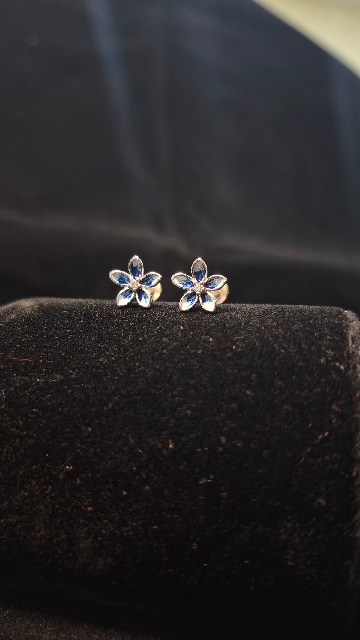 5 Petal Double colour Blue flower