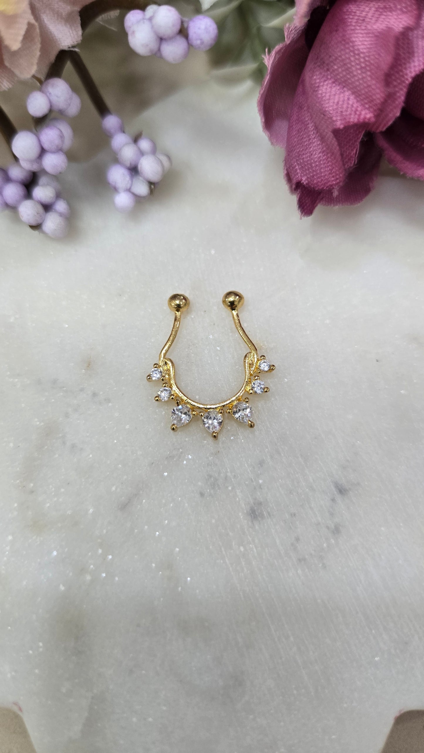 Septum ring