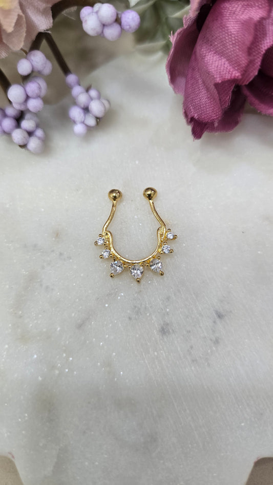 Septum ring