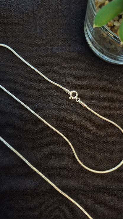 Thin Snake chain minimal anklets