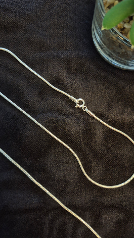 Thin Snake chain minimal anklets