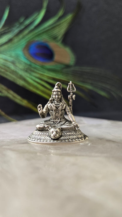 Siva vigraha