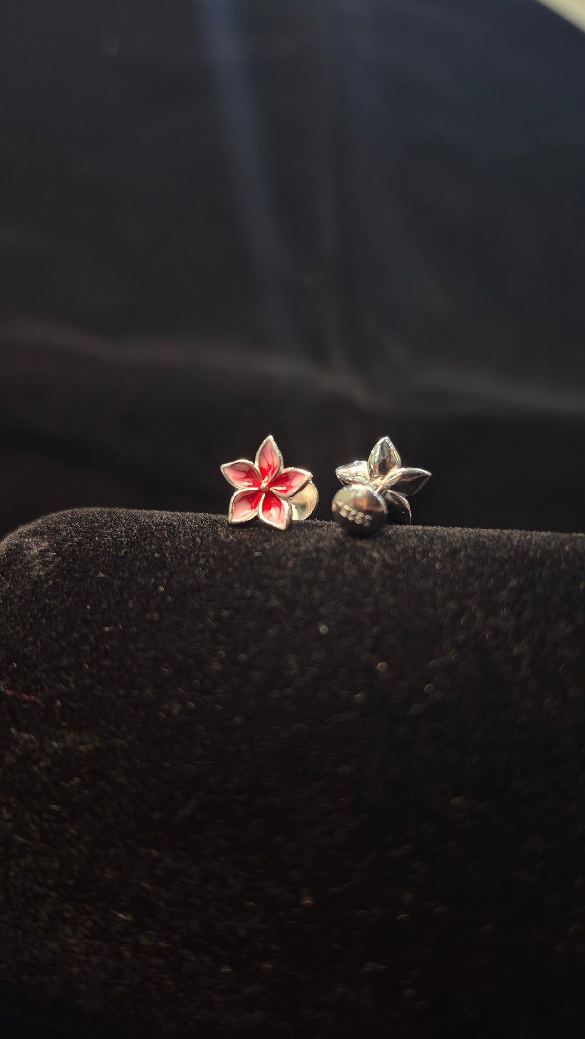 5 Petal Double colour Red flower