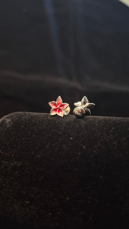 5 Petal Double colour Red flower