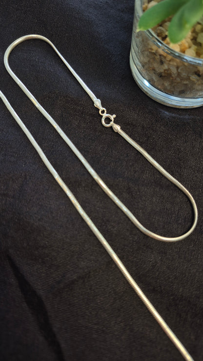Flat Snake chain minimal anklets