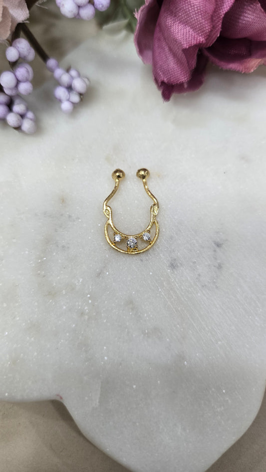 Septum ring
