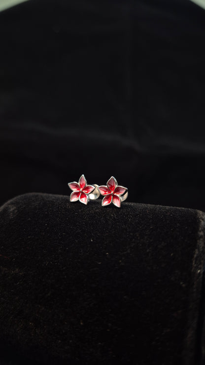 5 Petal Double colour Red flower