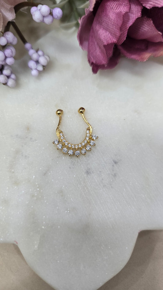 Septum ring