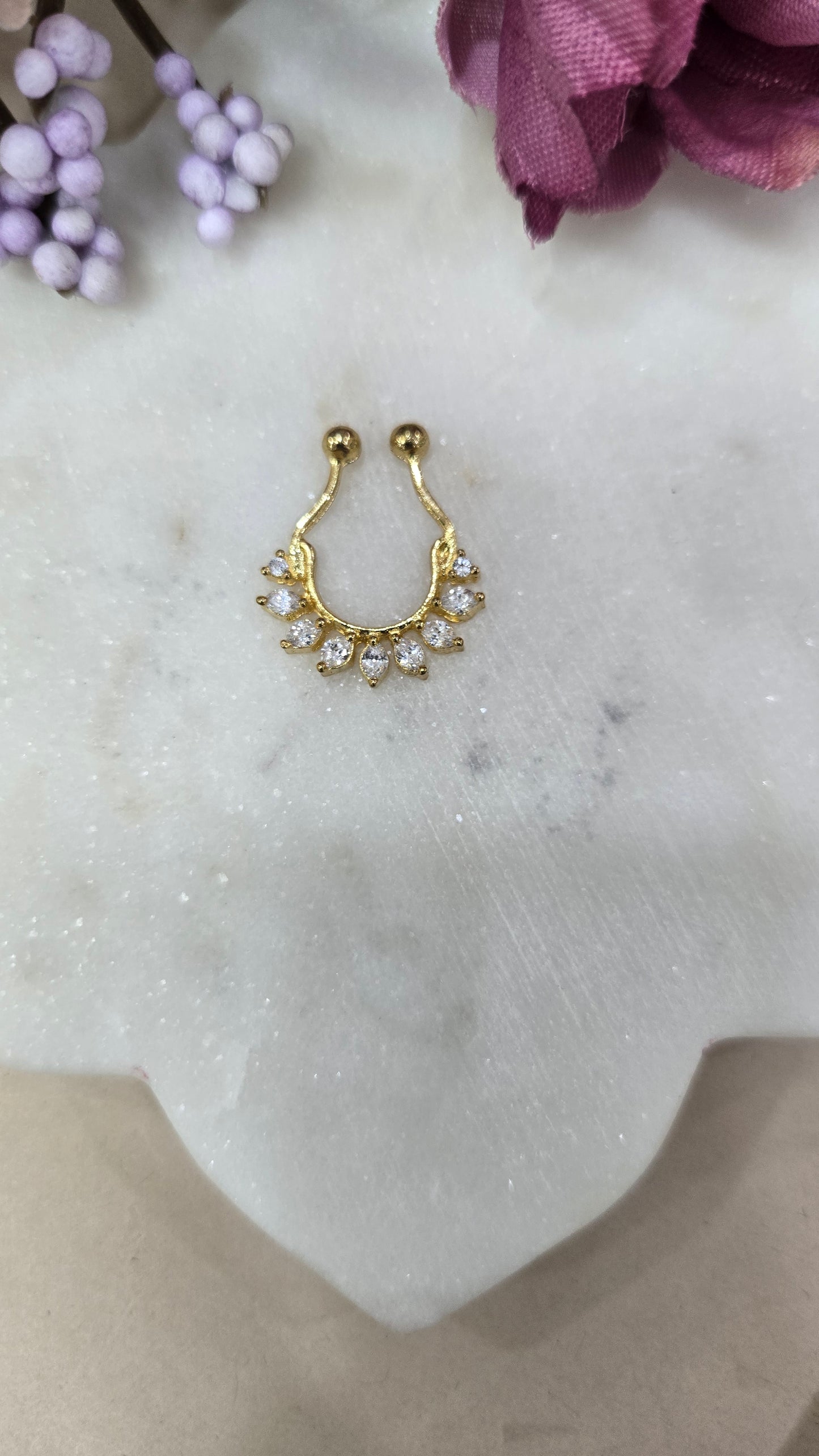 Septum ring