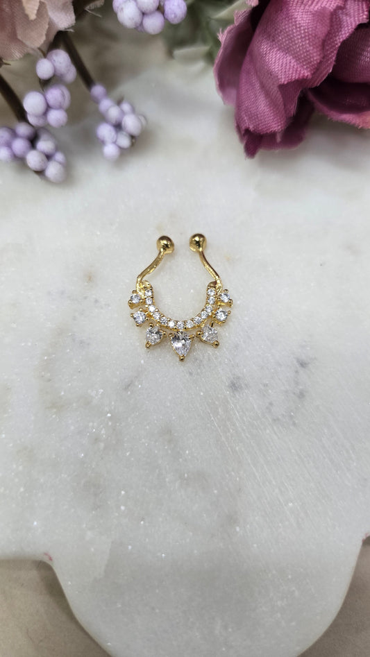 Septum ring