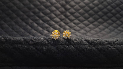 Nakshatra studs