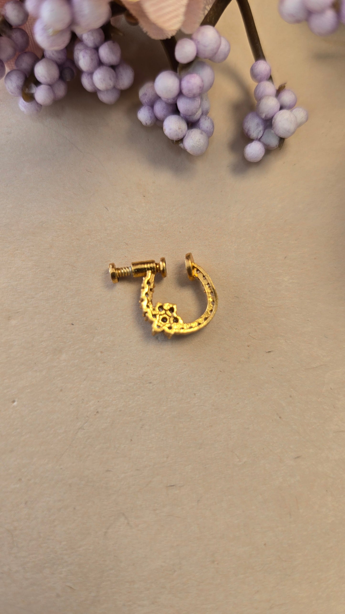 Small Nose ring