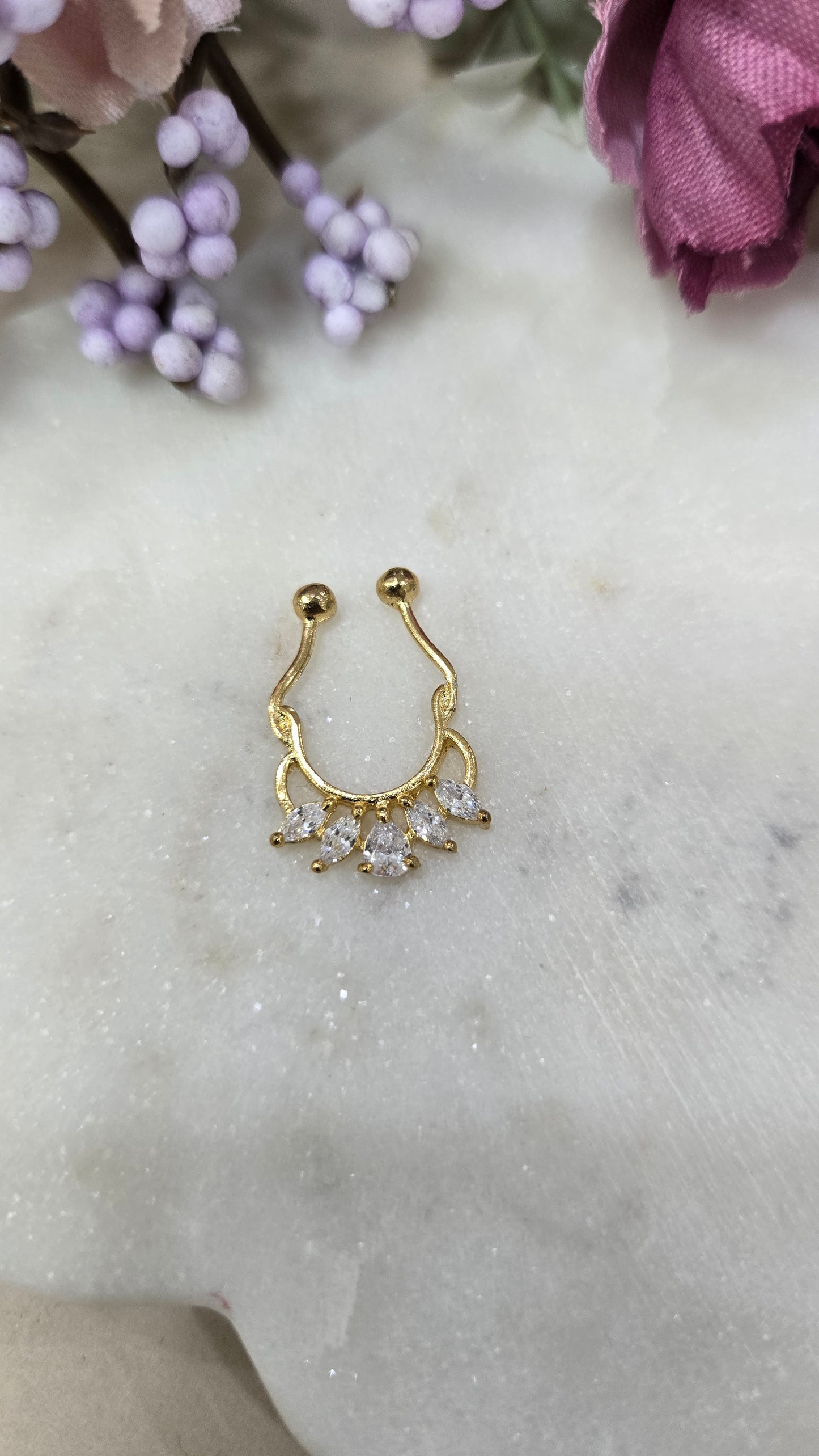 Septum ring