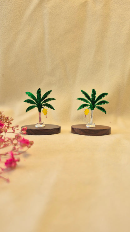 Mini Banana tree with rose wood