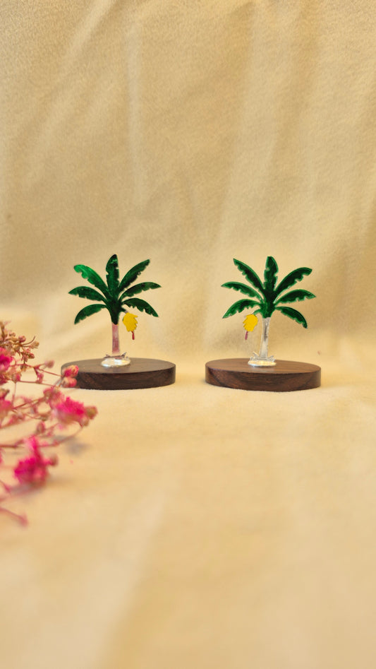 Mini Banana tree with rose wood