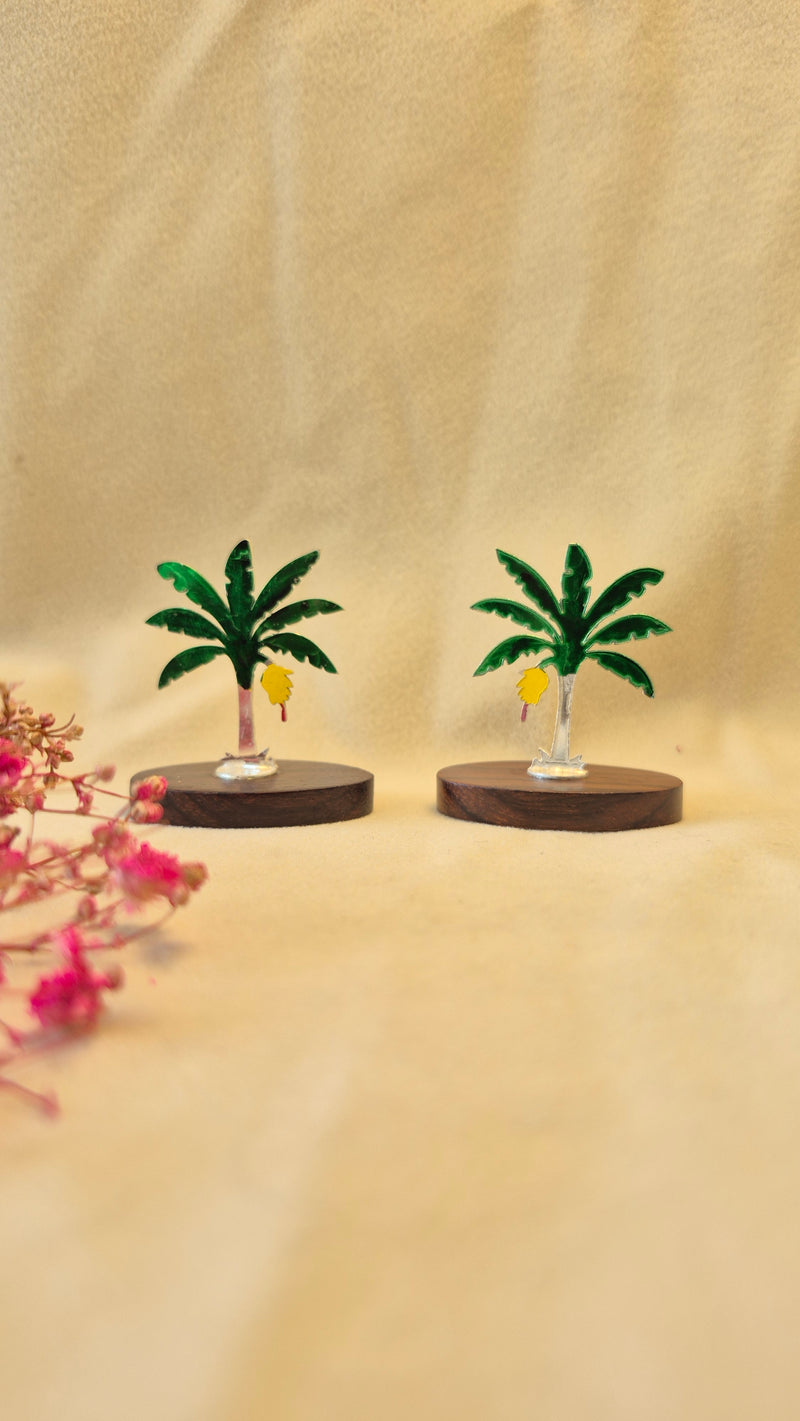 Mini Banana tree with rose wood