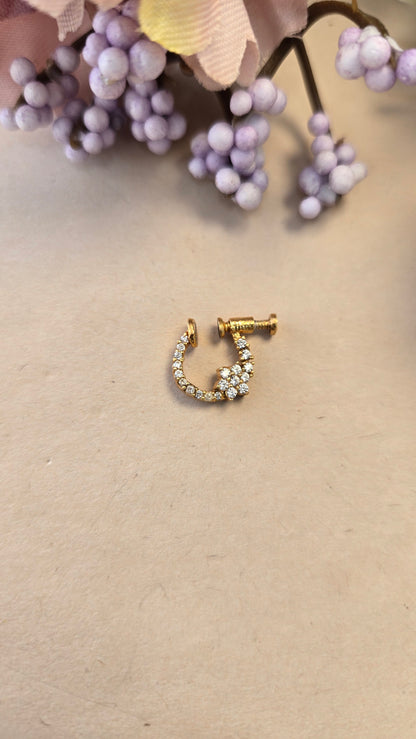 Small Nose ring