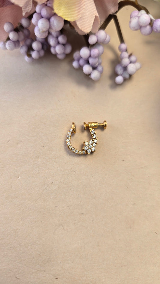 Small Nose ring