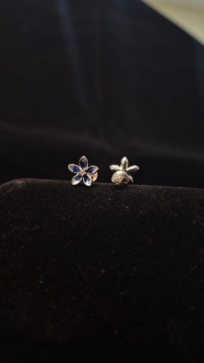 5 Petal Double colour Blue flower