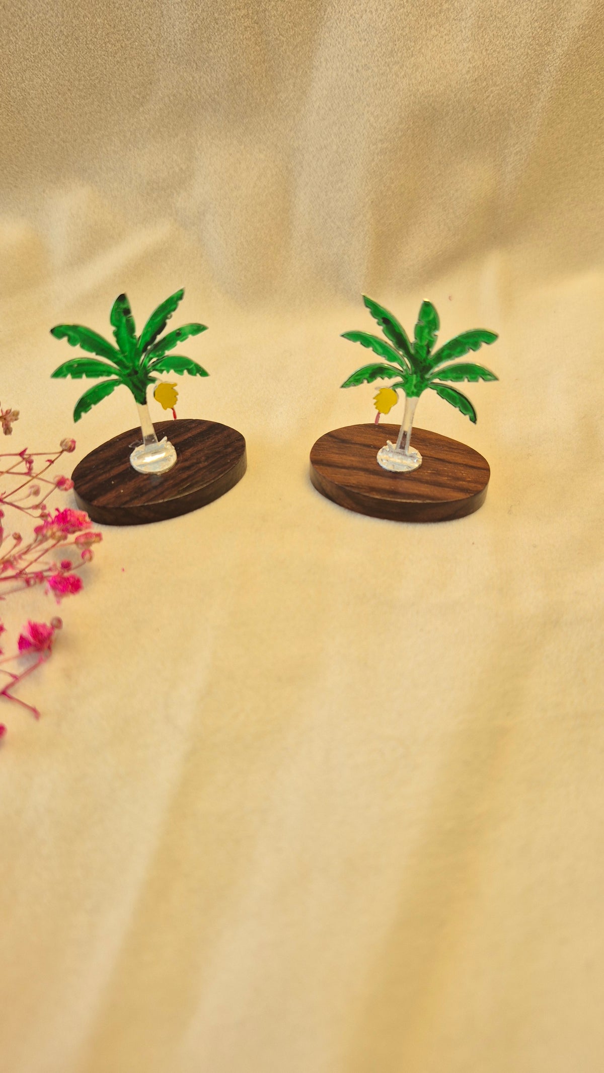 Mini Banana tree with rose wood