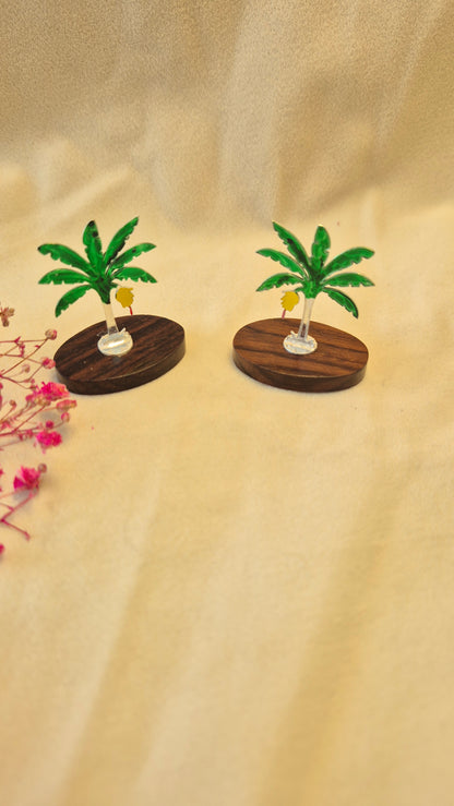 Mini Banana tree with rose wood