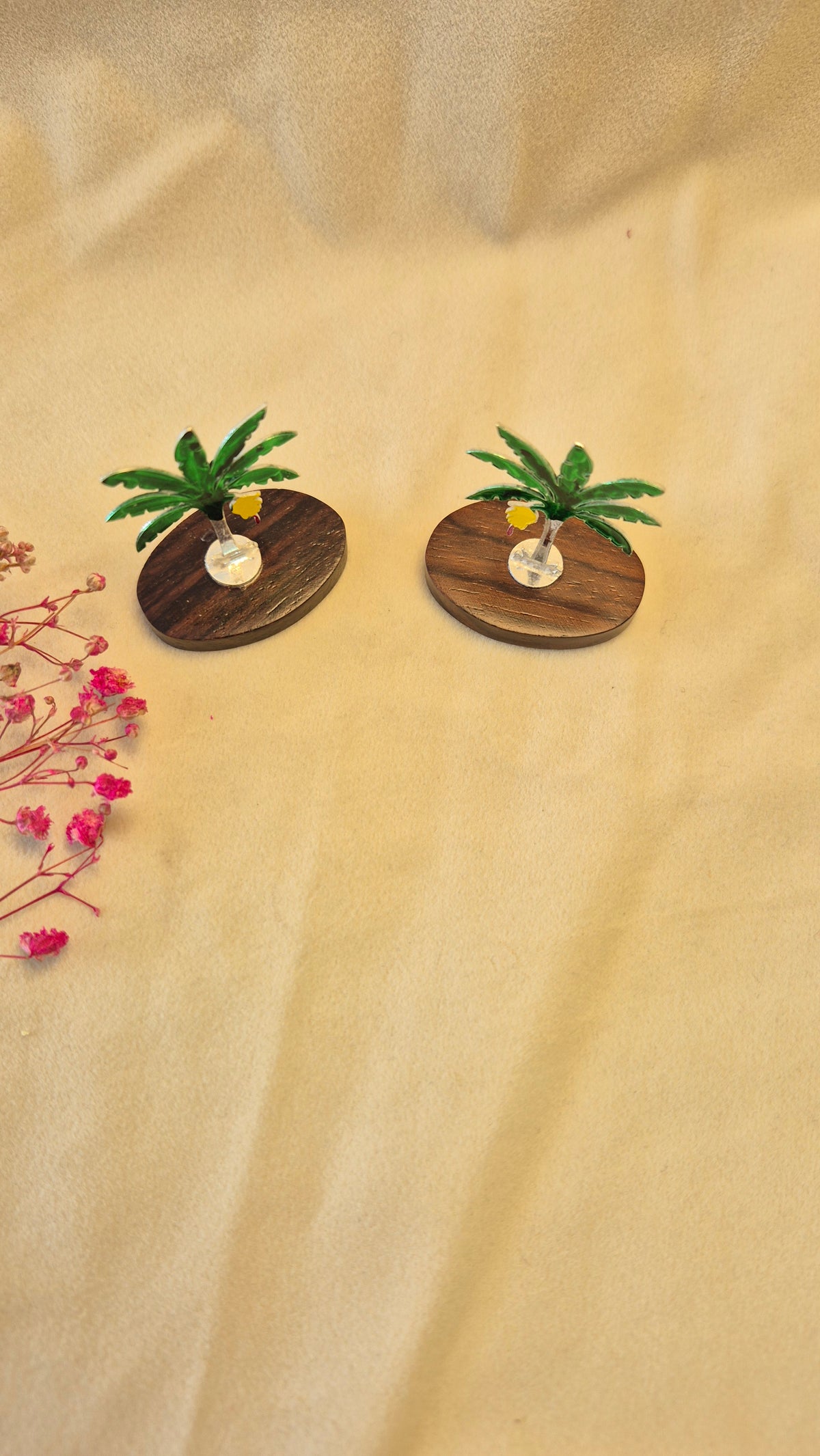 Mini Banana tree with rose wood